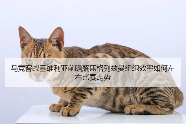 马竞客战塞维利亚前瞻聚焦格列兹曼组织效率如何左右比赛走势